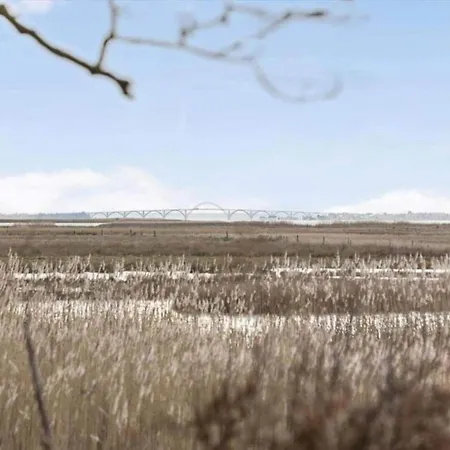 Hébergement de vacances 5 Person In Stege-by Traum