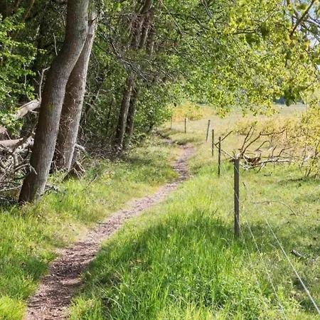 Hébergement de vacances 5 Person In Stege-by Traum Stege