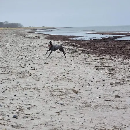 5 Person In Stege-by Traum Hébergement de vacances